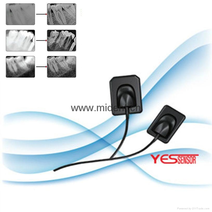 Dental Intraoral Xray Image System Korea Original Digital Sensor MXS