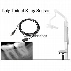 Trident Ds530 Dental Digital X Ray Sensor Original Made in Italy 