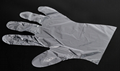 100Pcs Disposable Gloves PE Transparent Glove 2