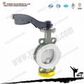 wafer type butterfly valve 1