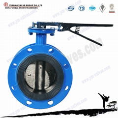 flange  butterfly valve