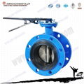 flange  butterfly valve 2