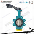 lug type manual butterfly valve  1