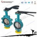 lug type manual butterfly valve  2