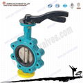 lug type manual butterfly valve  3