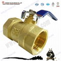 Brass Ball Valve 2