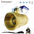 Brass Ball Valve 5