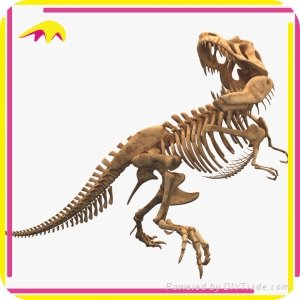 Theme Park Attractive Fake Dinosaur Skeleton Fossil