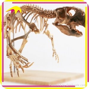 Theme Park Attractive Fake Dinosaur Skeleton Fossil 2