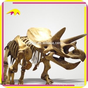 Theme Park Attractive Fake Dinosaur Skeleton Fossil 4