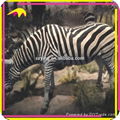 Amusement Park Artificial Life-Size Zebra Animal Statues  2