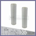 Pvdf Pleated Filter