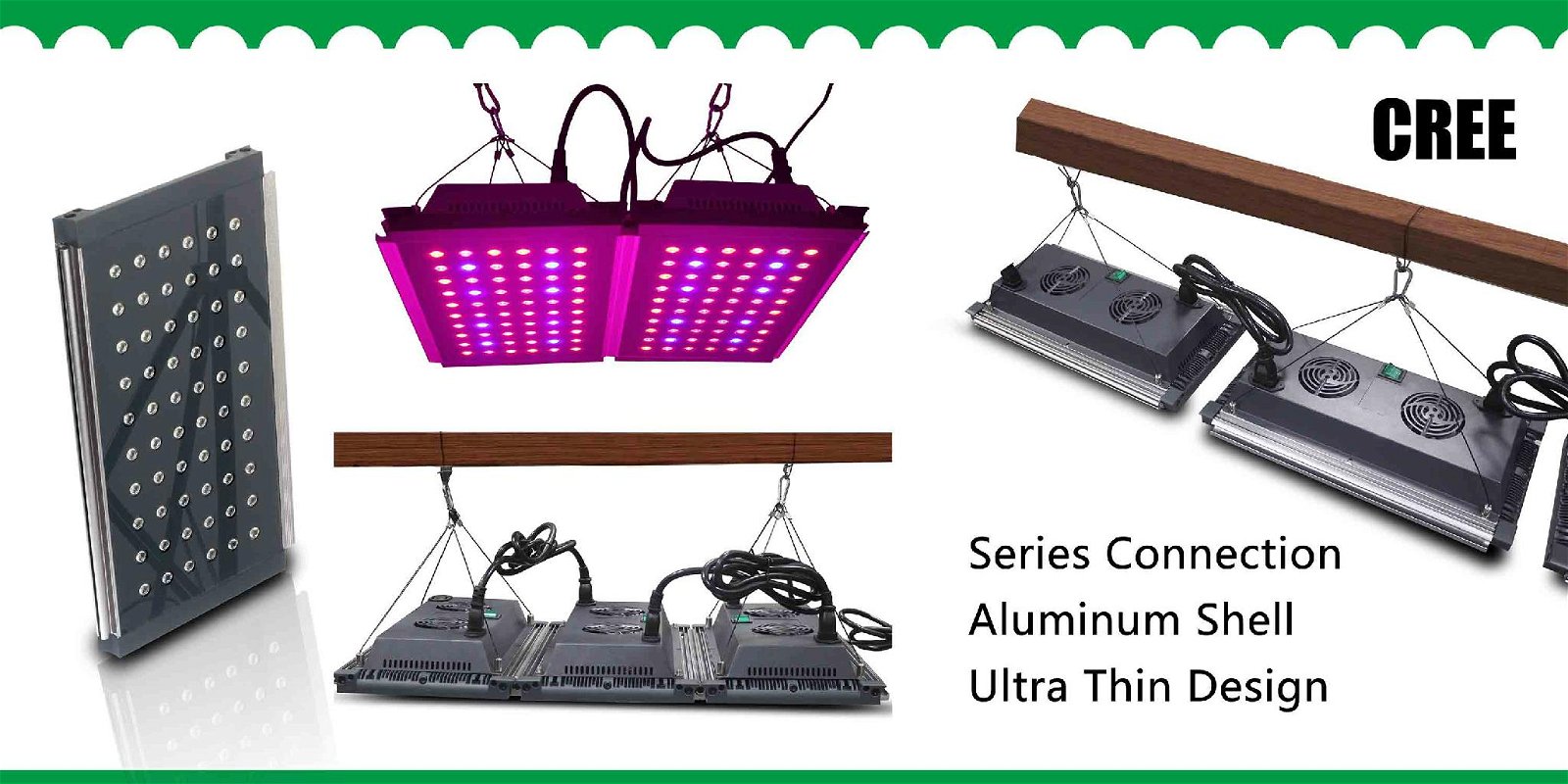 LED Grow Light Full Spectrum for Greenhouse and Indoor Plant Flowering and Growi 3