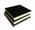 Supply 18mm 1250X2550mm Black Film Faced Plywood for Construction with Poplar/Eu