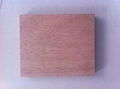 Supply 1220X2440X5mm Okoume Faced Plywood with Birch Core E1glue for Bedrooms/Ba 1