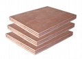 15mm 4X8 Double Sided Okoume Faced Plywood with Poplar Core E1 Glue for Cabinet 