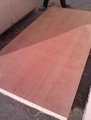 15mm 4X8 Double Sided Okoume Faced Plywood with Poplar Core E1 Glue for Cabinet  3