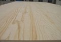 Supply 13mm 4X8 High-Quality Green Pine Wood Veneer Plywood (used as highchairs) 3