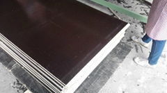 Supply 1000X2100X17mm Antiskid Plywood for Construction