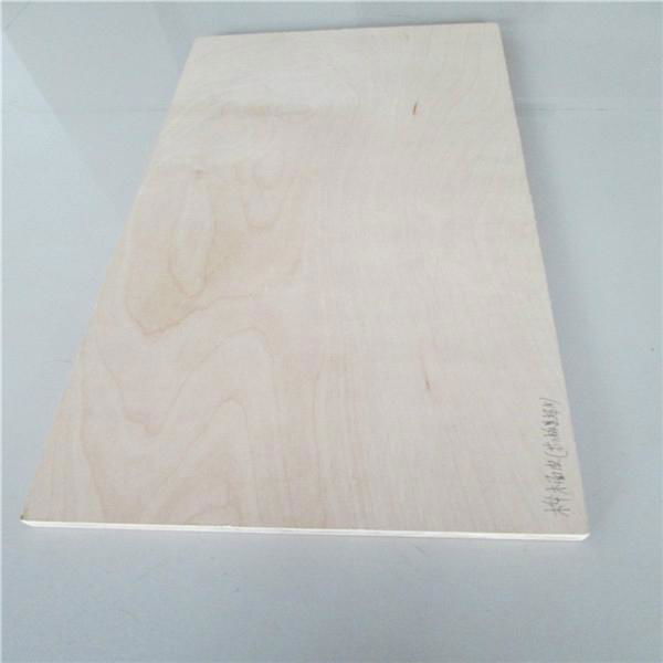 Supply 5mm Environmental BB/CC Grade Birch Plywood 2