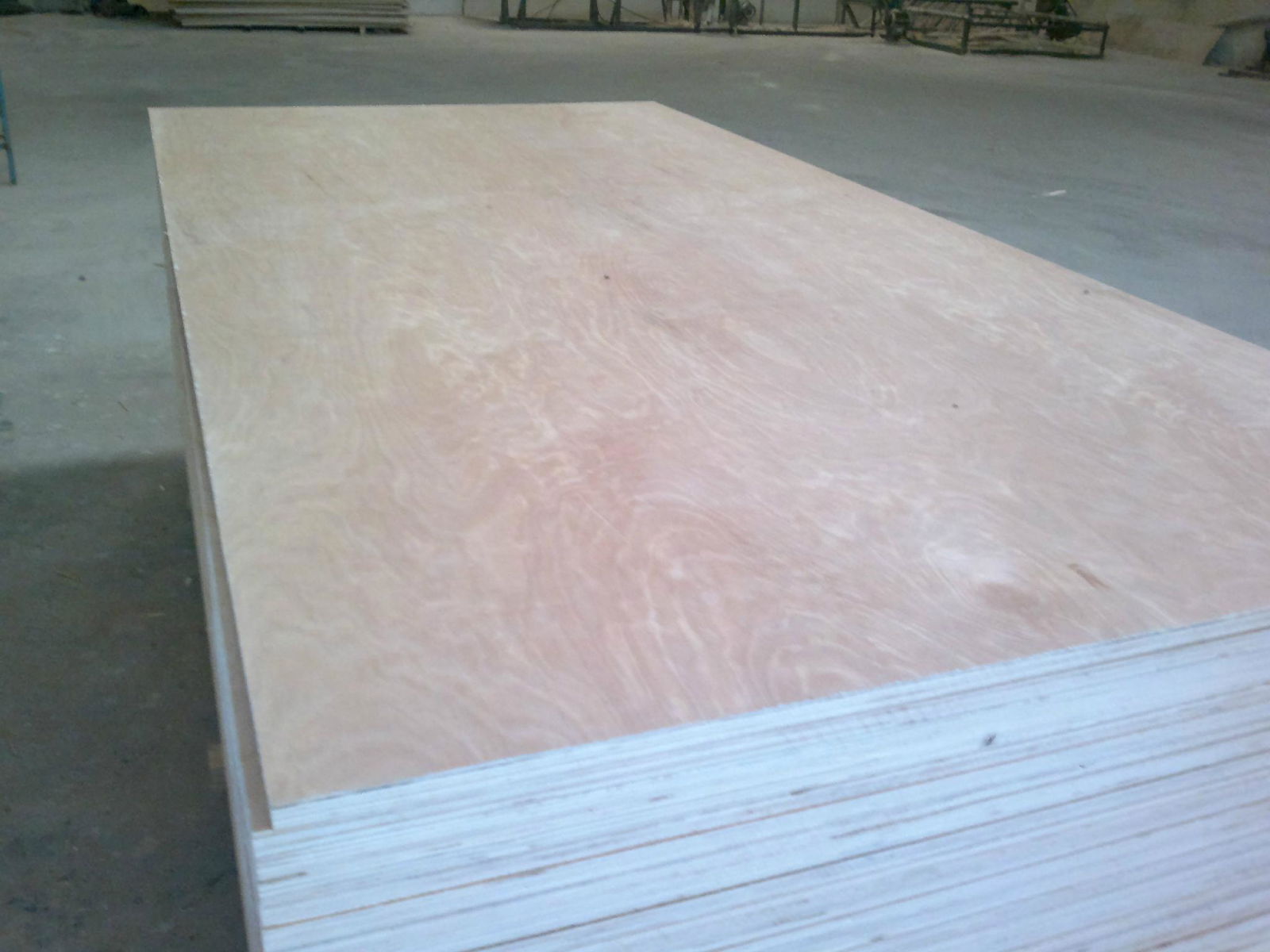 Supply 5mm Environmental BB/CC Grade Birch Plywood 3
