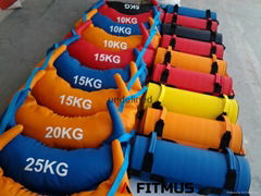 Strength Leather Sandbag