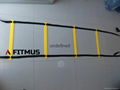 Speed and Agility Ladder