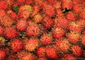 FRESH RAMBUTAN 3