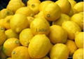 Yellow Lemon