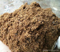 Palm Kernel Cake