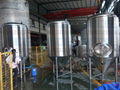 Sanitary stainless steel conical fermenter , wine fermentation tank  3