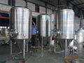 Sanitary stainless steel conical fermenter , wine fermentation tank  5