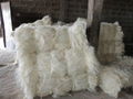 Sisal fibre for sale