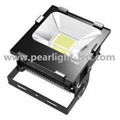 150W Floodlight