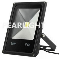 50W Floodlight