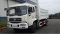 CTC-SINOPOWER 4X2 DUMP TRUCK  1