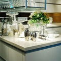 Engineered Stone Countertop