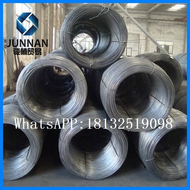 Q195 5.5mm hot rolled wire rod 2