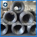 Q195 5.5mm hot rolled wire rod 2