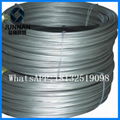 Q195 5.5mm hot rolled wire rod 3