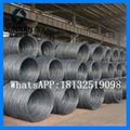 competitive price Heibei  wire rod sae1008