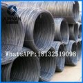 8mm hot rolled  wire rod for nail making 5