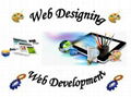 Web Design & Development