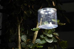 Solar Outdoor Lamp