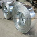 Selling Hot Dip Galvanized Coated Steel Coils