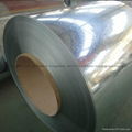 Selling Hot Dip Galvanized Coated Steel Coils 2