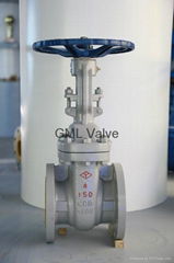 gate valve