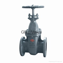 DIN Gate Valve