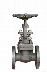 ANSI Gate Valve