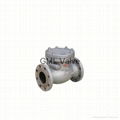 ANSI API check valve